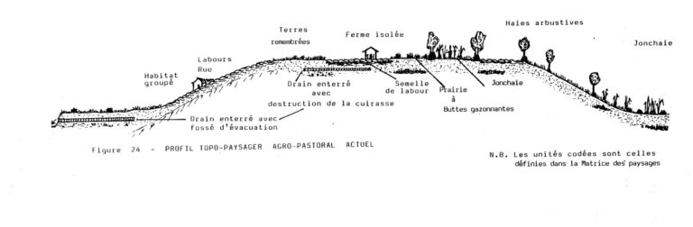 Profil agro-pastoral