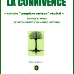 La connivence